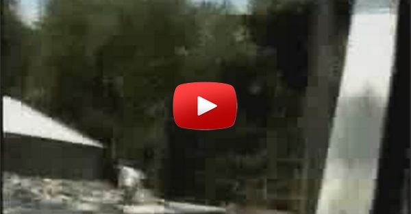 Salto Para Record